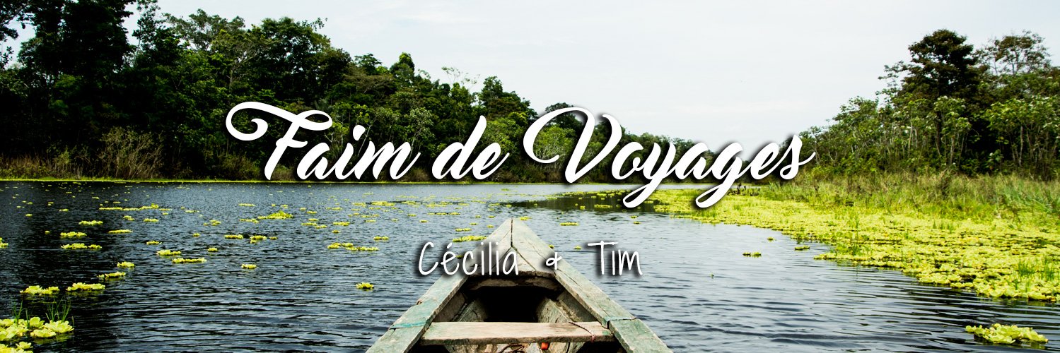 FaimDeVoyages's profile banner image