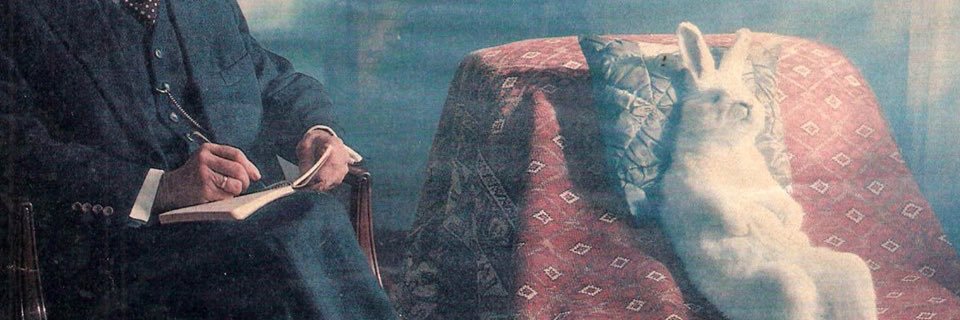 Vorzimmertyp's profile banner image