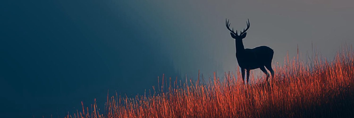 JPy8tt's profile banner image