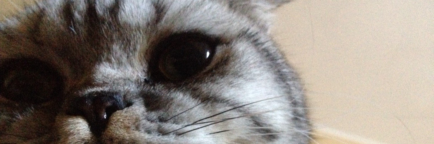 Corpan's profile banner image