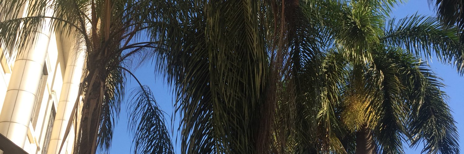 dion271200's profile banner image