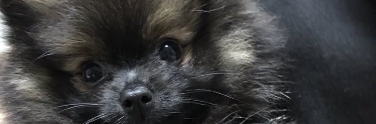 n_o3w's profile banner image