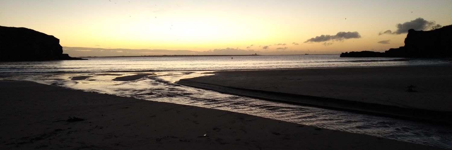 wavedavey's profile banner image