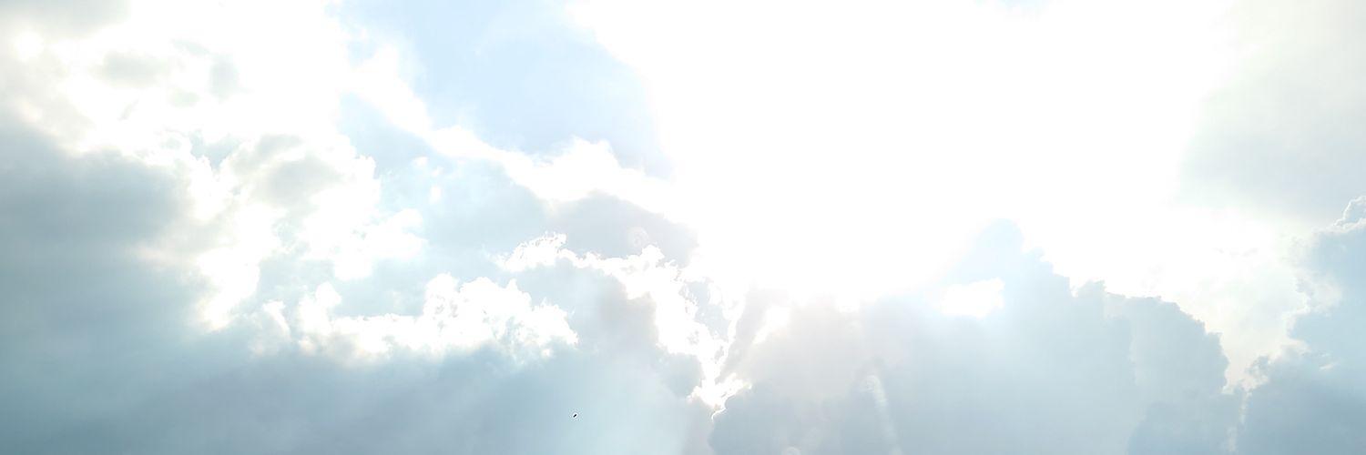 agaresarubesu's profile banner image