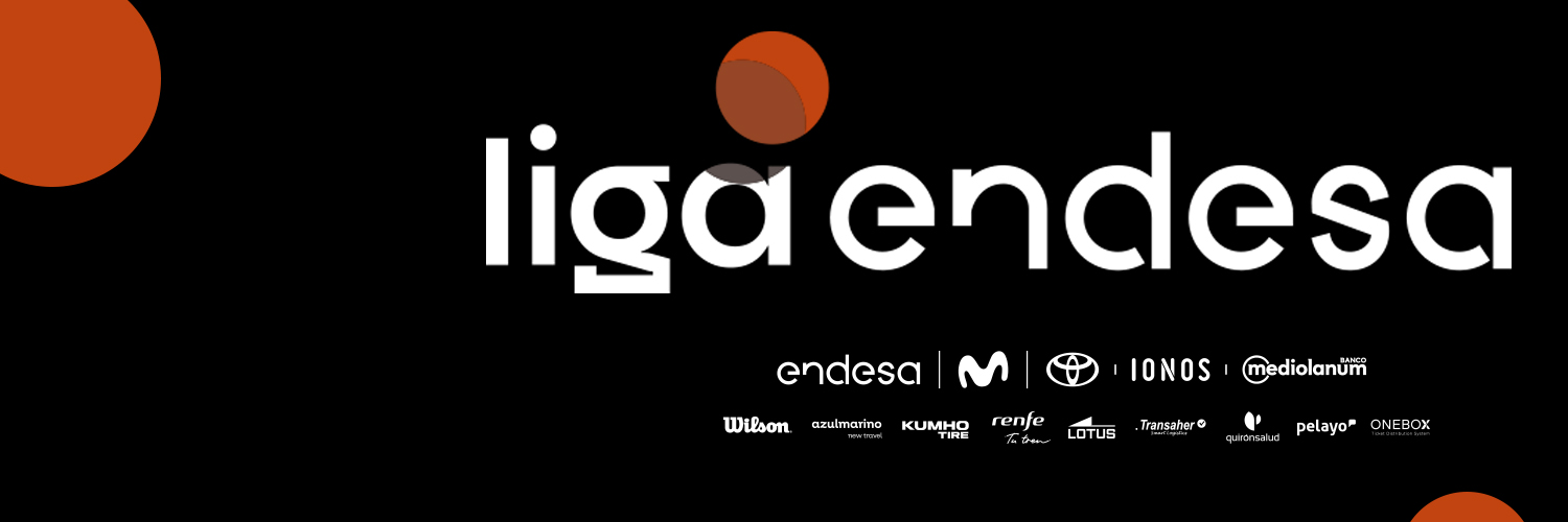 Liga Endesa's banner