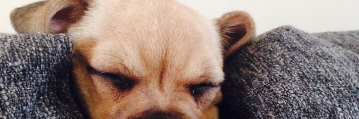 Wayne Russell banner