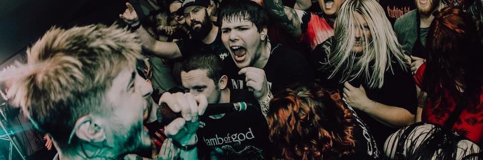 Cole banner