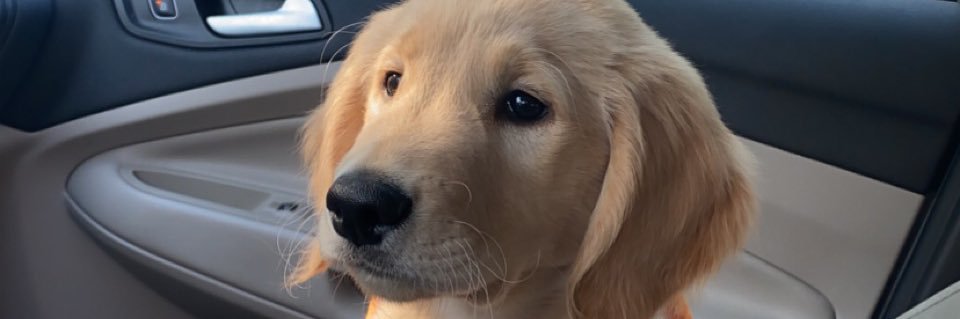 trevorrrcook's profile banner image