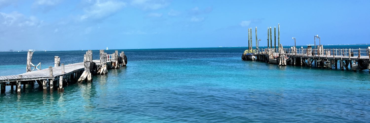 belugardella's profile banner image