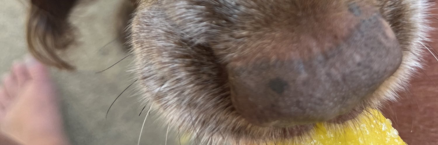 AliBurtPal's profile banner image