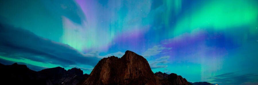 tamarint's profile banner image