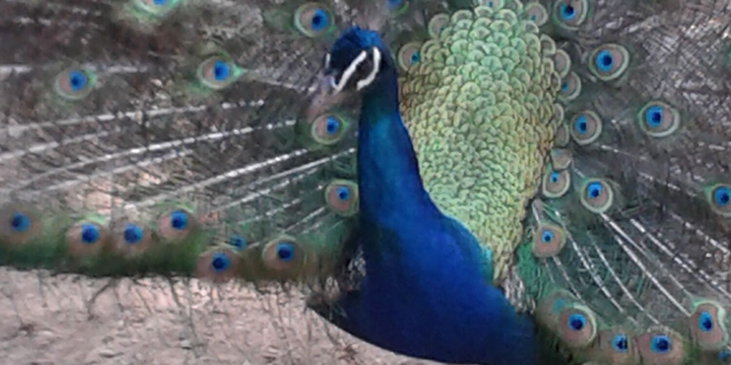 juan13977's profile banner image