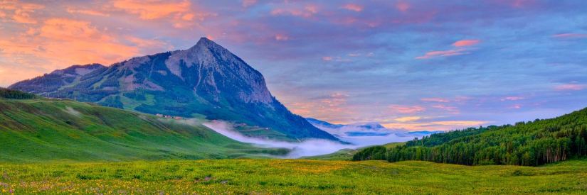 tatummcarthur's profile banner image