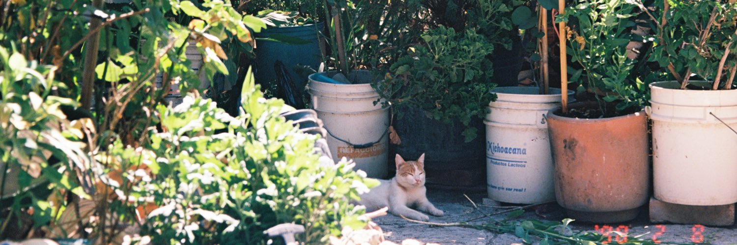 svntiagoc's profile banner image