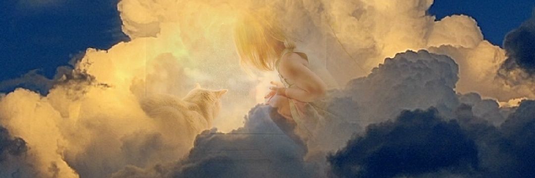 GiuseppeCiucci's profile banner image
