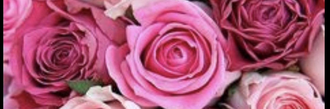ItsMeDee555's profile banner image