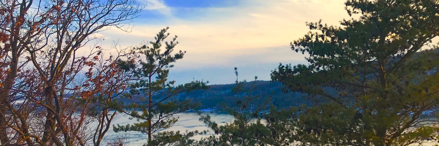 LaynaMarjorie's profile banner image