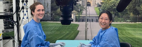 FrancesDixon Profile Banner