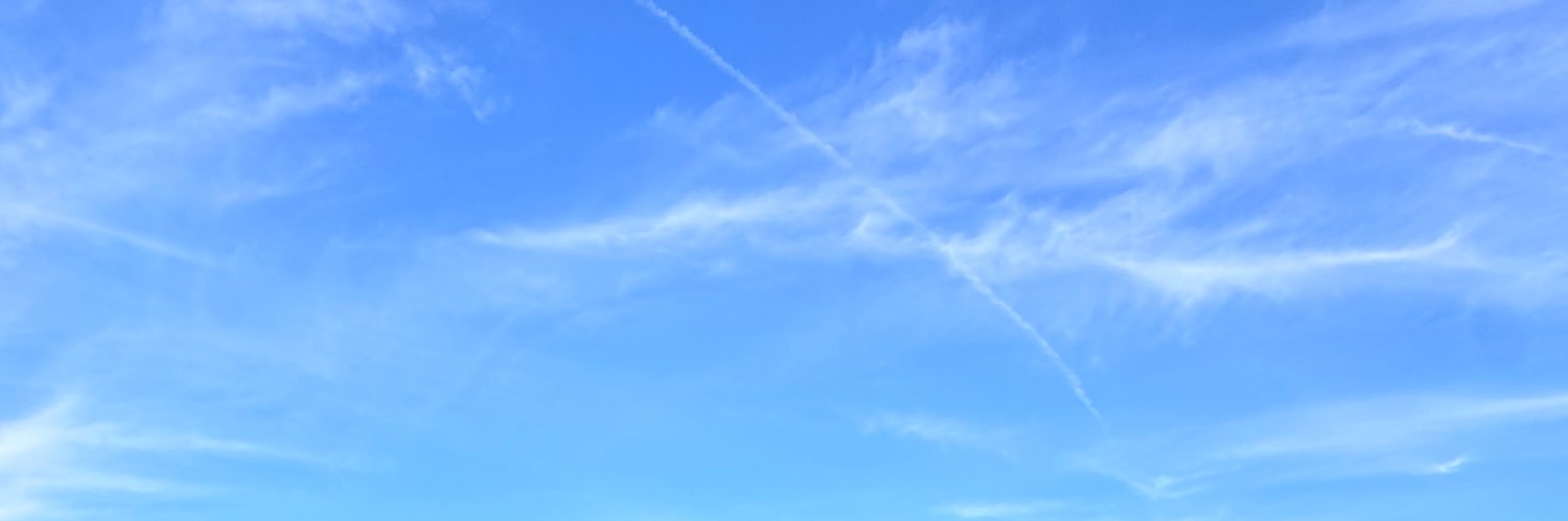 mamiipaula's profile banner image