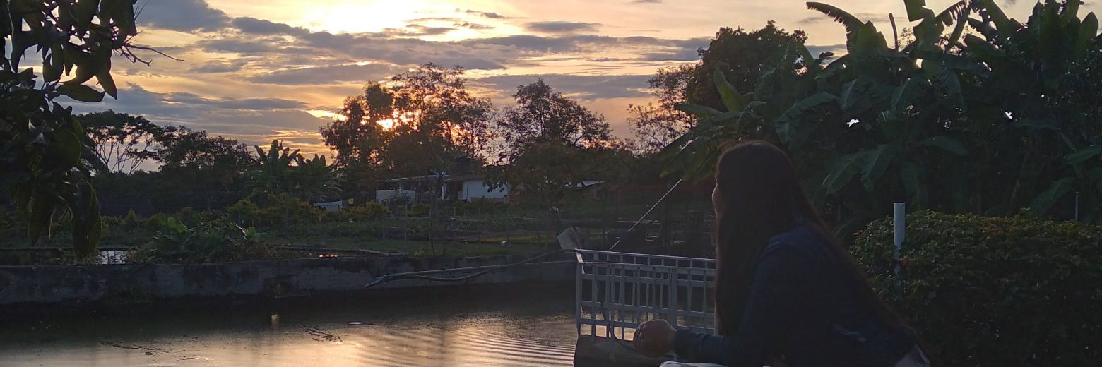 tyulyrodriguez's profile banner image