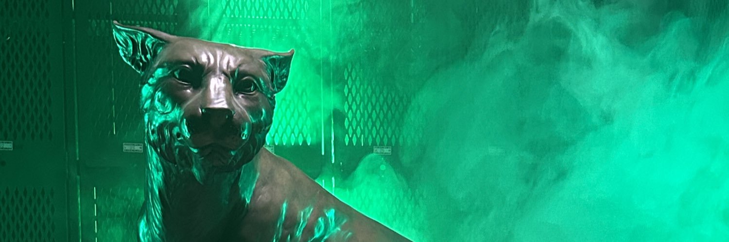 Novi Football banner