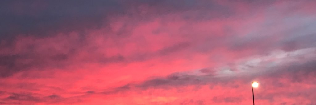 JackBills1's profile banner image