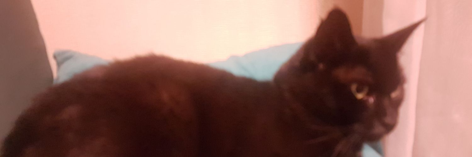 xime_sanch's profile banner image