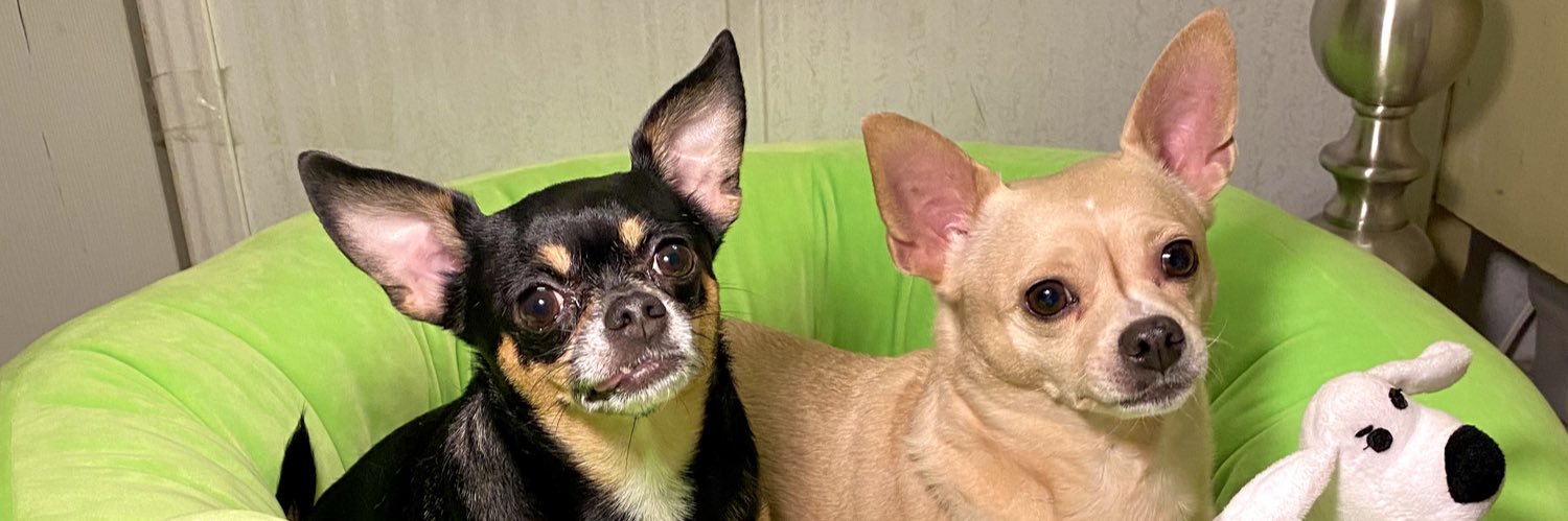 hellovickii's profile banner image