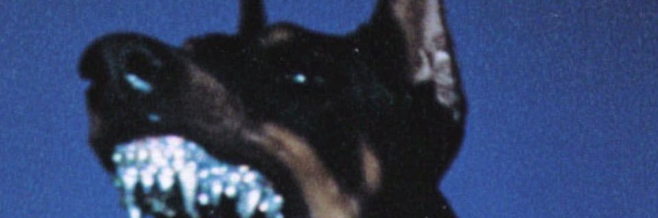 2wavvy_'s profile banner image