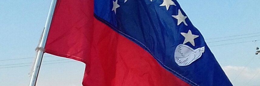 Minerva Medina banner