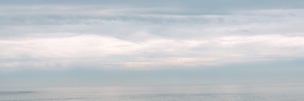 baileydrinon's profile banner image