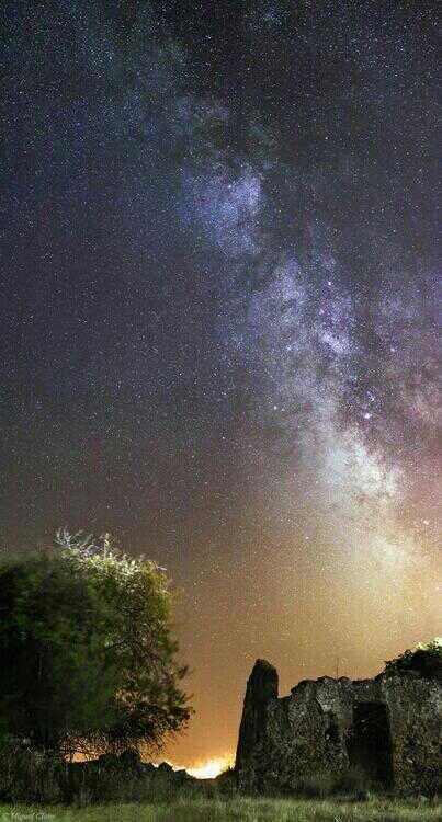 أبو وافي banner