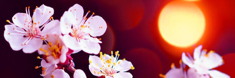 79_so's profile banner image