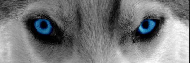 CShaww21's profile banner image