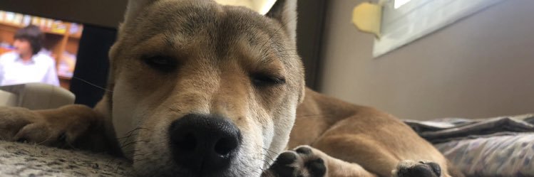 sbunoa's profile banner image