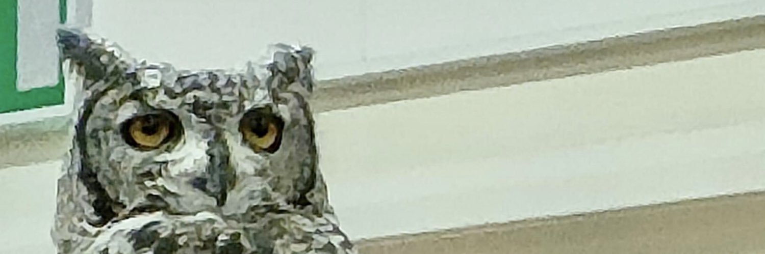 recce_trooper's profile banner image