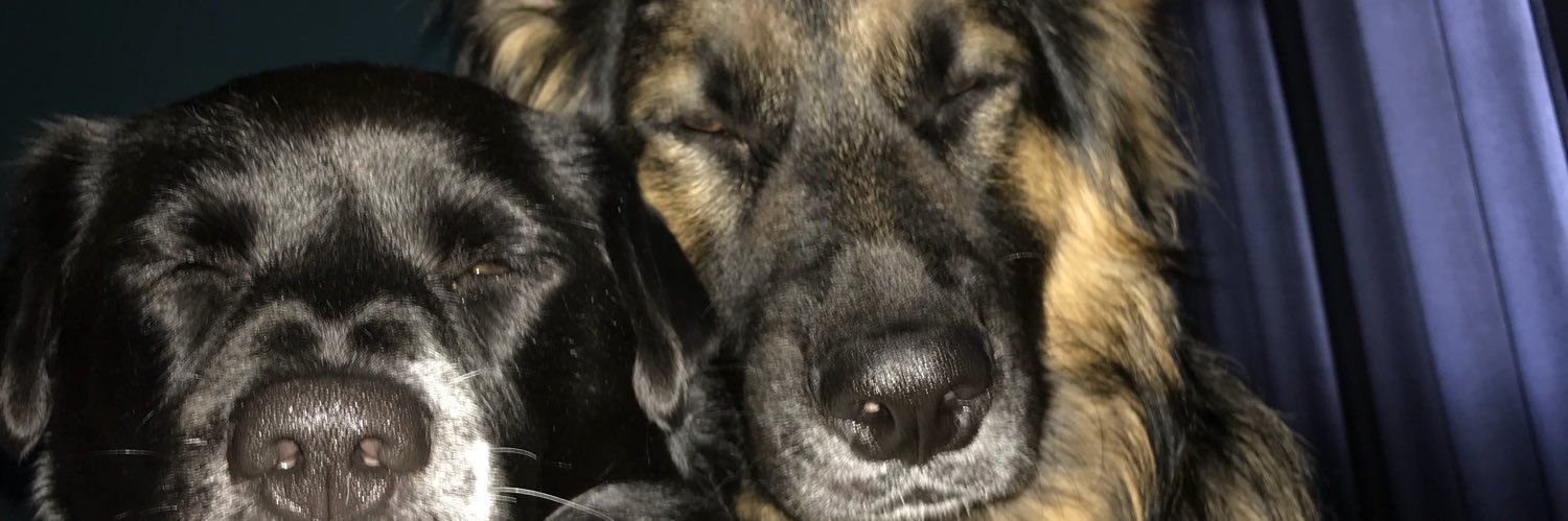 phelps_03's profile banner image