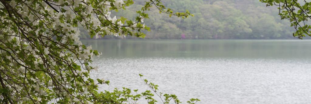 torabe33's profile banner image