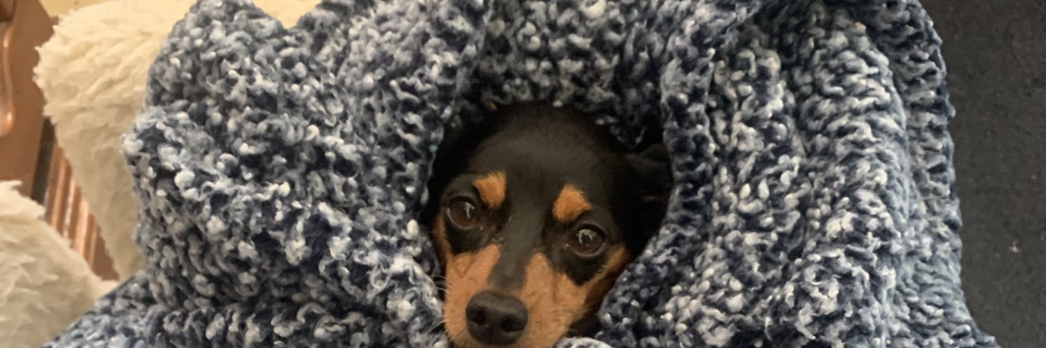 _Kayleeta's profile banner image