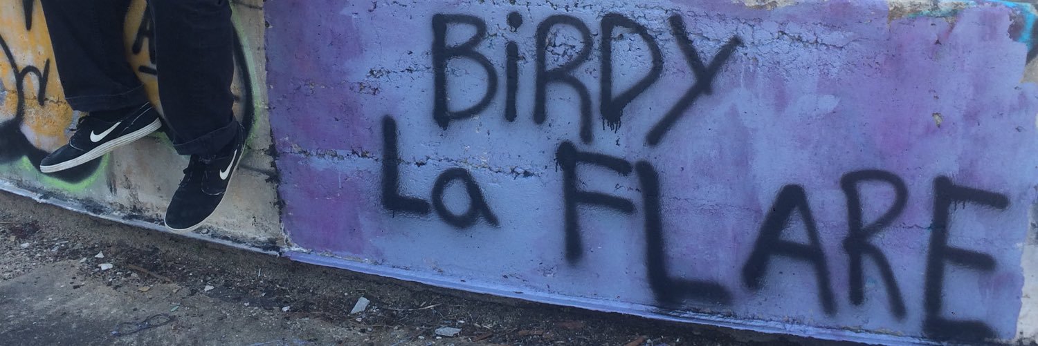 BigBodyBird's profile banner image