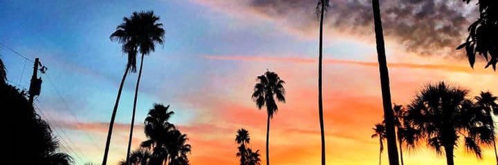 ChrisParrott76's profile banner image