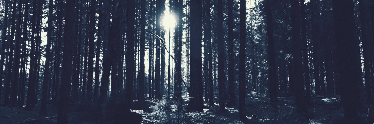 illaminatu's profile banner image