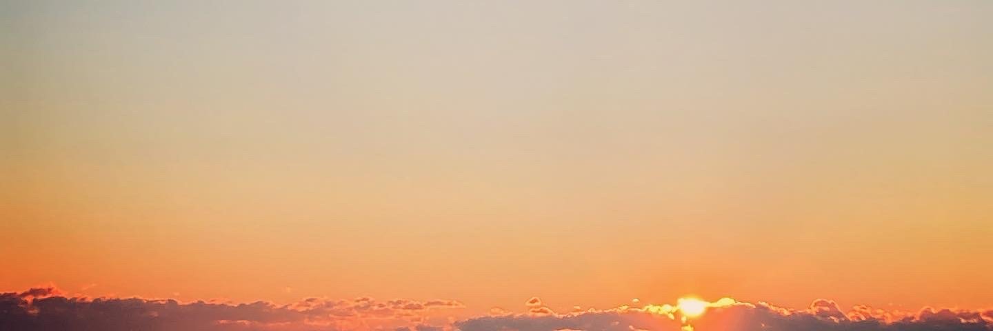 mamo__labo's profile banner image