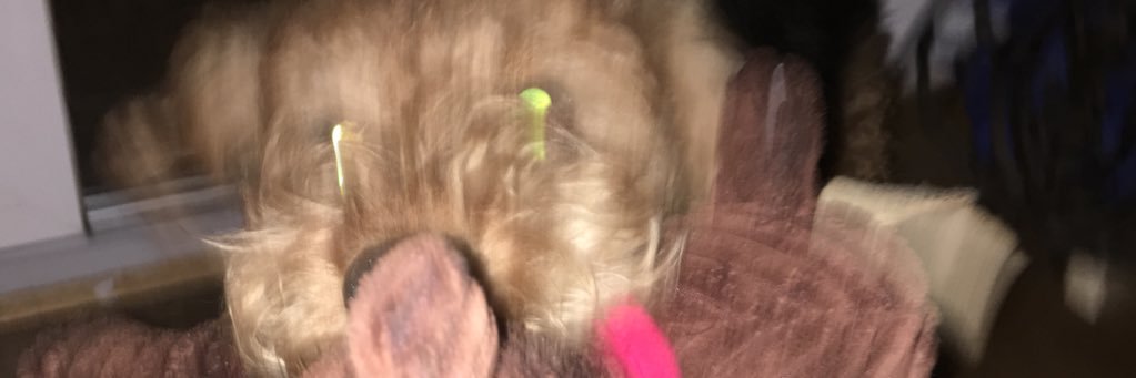 ХОТ ДЕЙВ banner