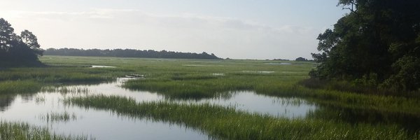 FIACosmo Profile Banner