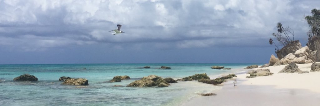 David Boothby banner