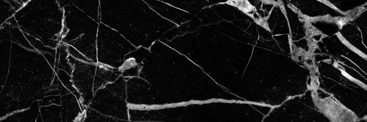 Crit98_'s profile banner image