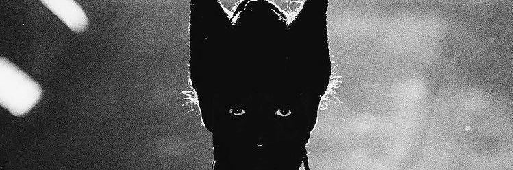 YezoKayo's profile banner image