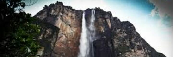 Dinorah_Castro's profile banner image