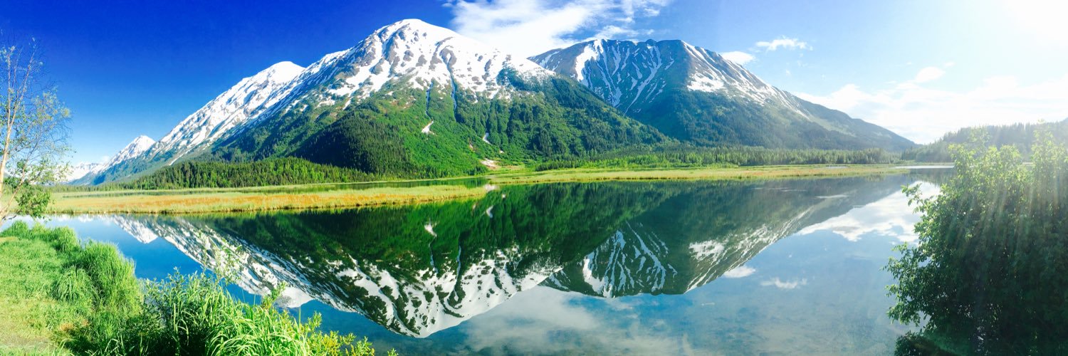 PeruPotPrincess's profile banner image